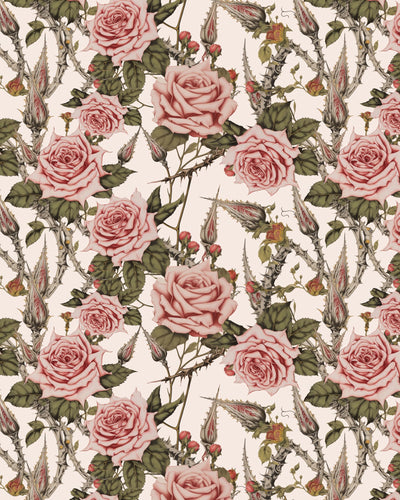 Hi Cut Lushy - Thorny Rose