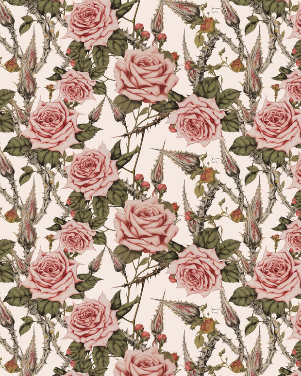 Hi Cut Lushy - Thorny Rose