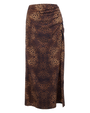 Spotted Leopard