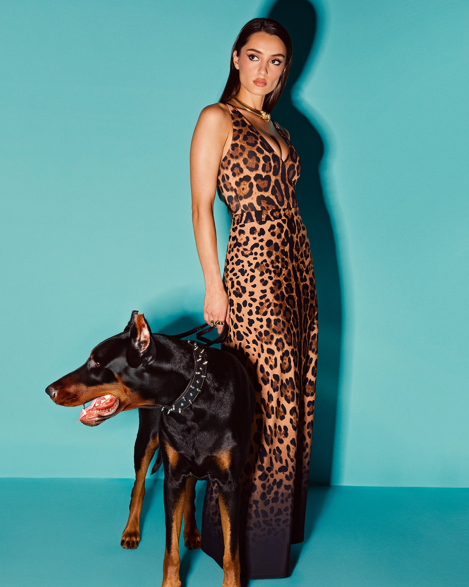 Ombre Symmetric Leopard