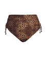 Spotted Leopard